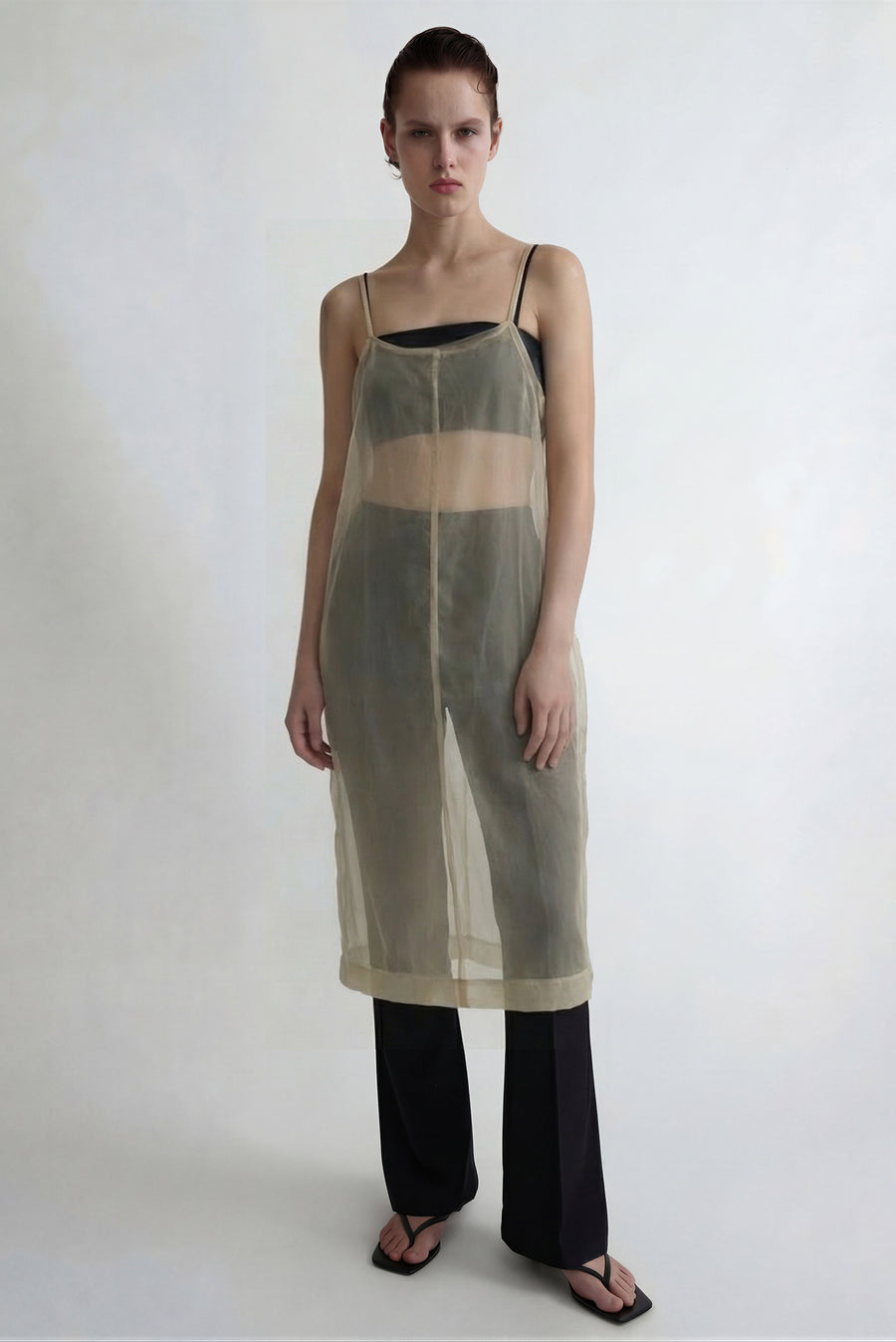 Sheer Overlay Dress - Beige