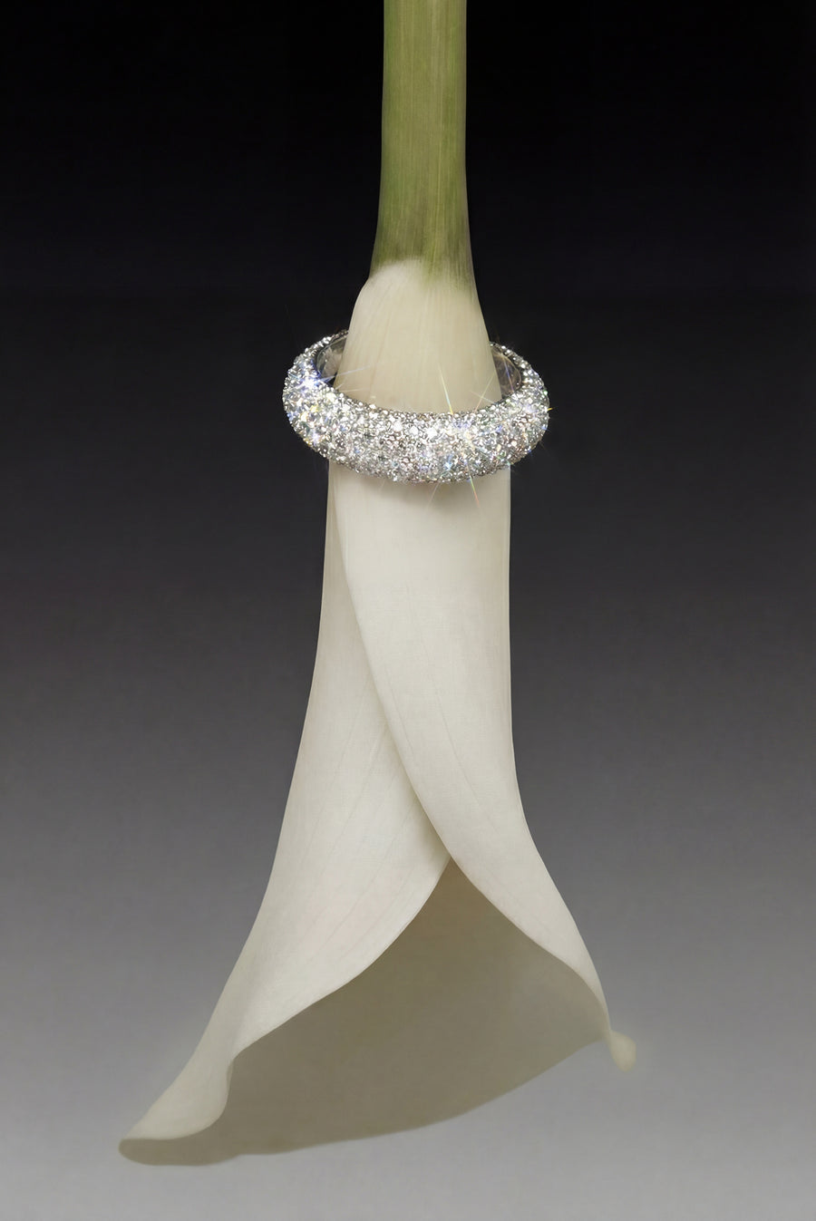 Shimmer Cresent Ring