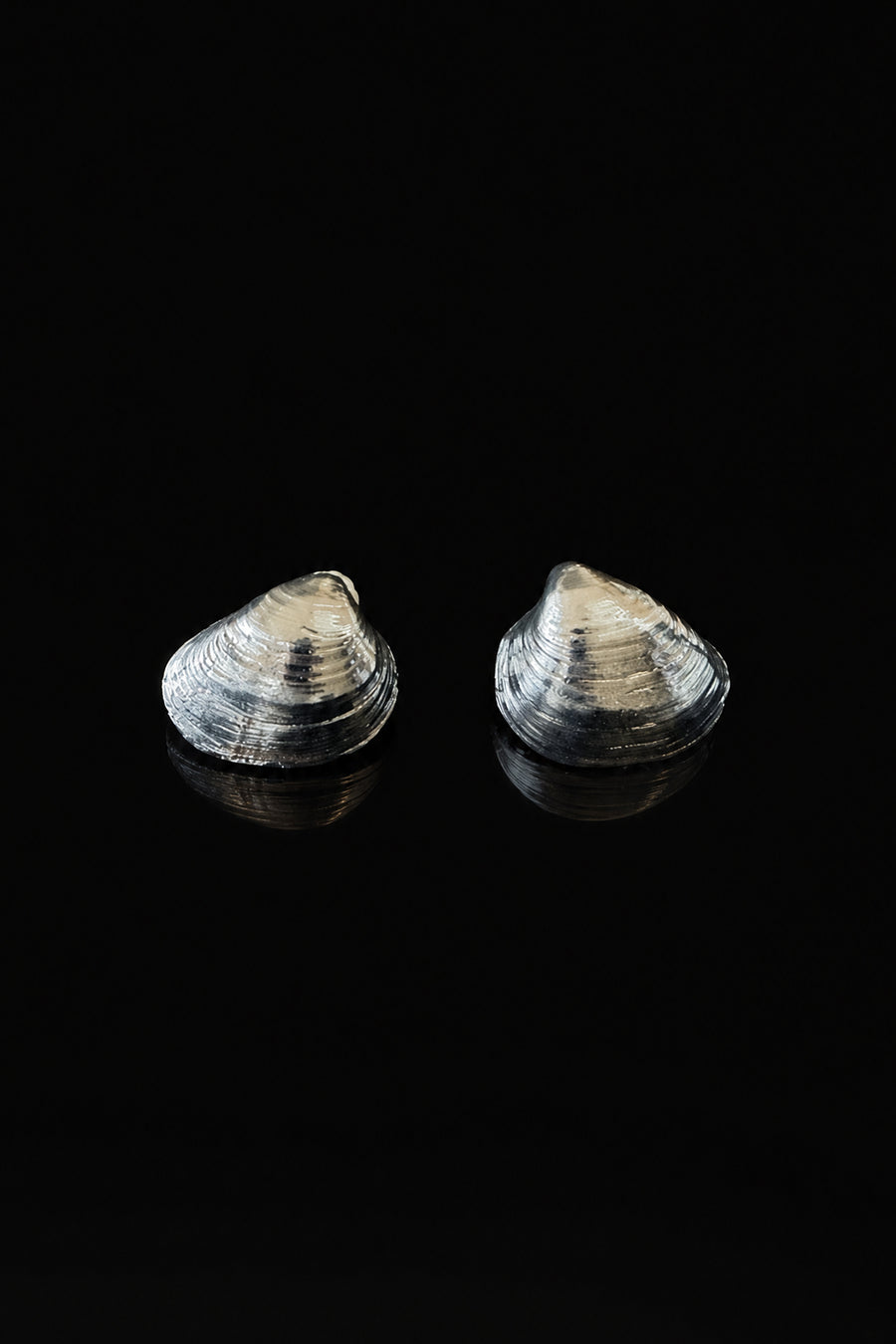 Valentina Quintero – Elizabeth Earrings - Silver