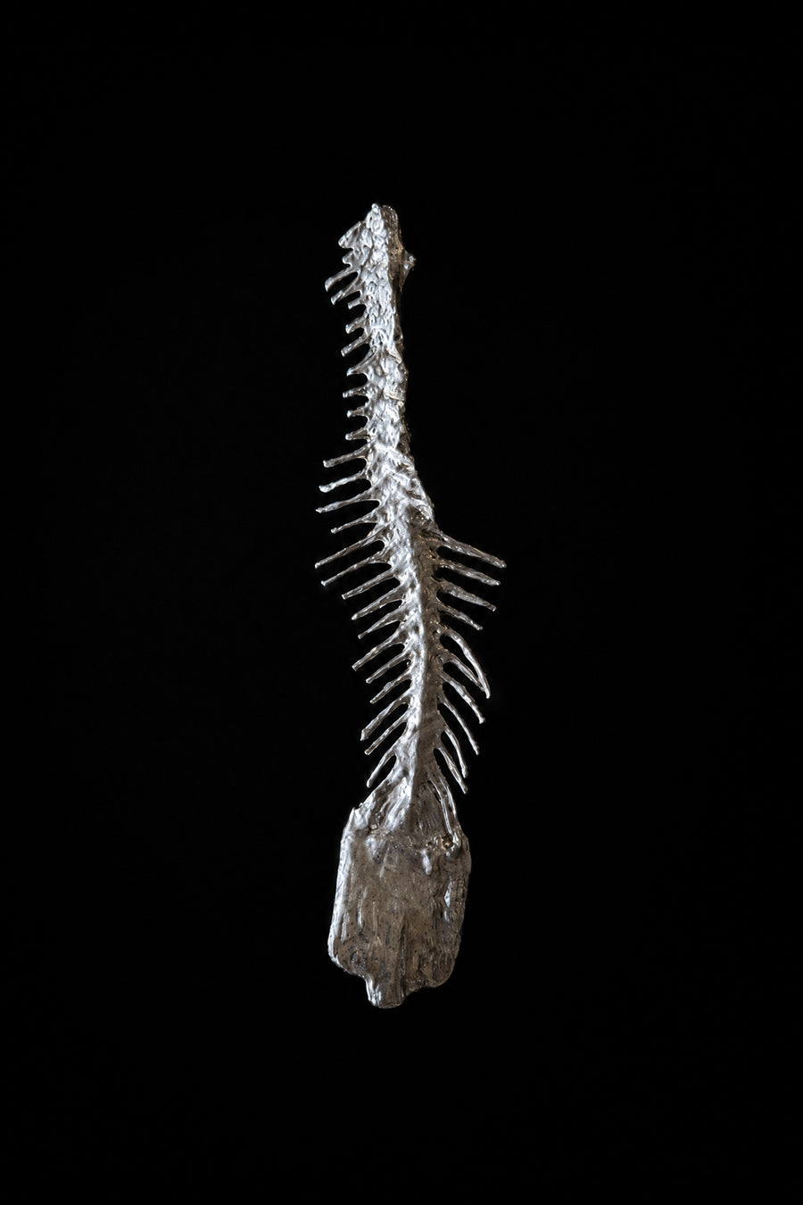 Valentina Quintero – Orejas De Pescado II Earring - Silver
