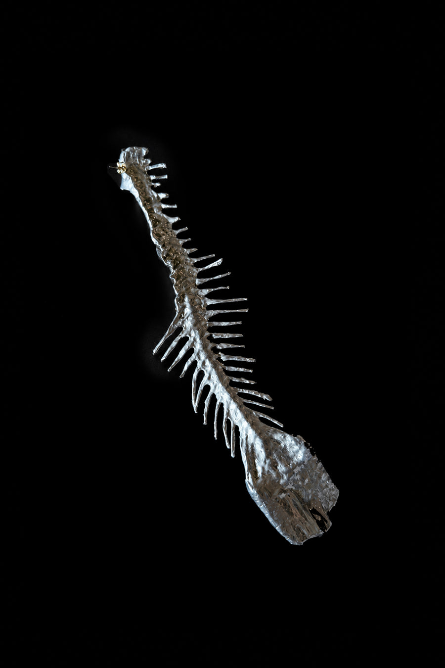 Valentina Quintero – Orejas De Pescado II Earring - Silver