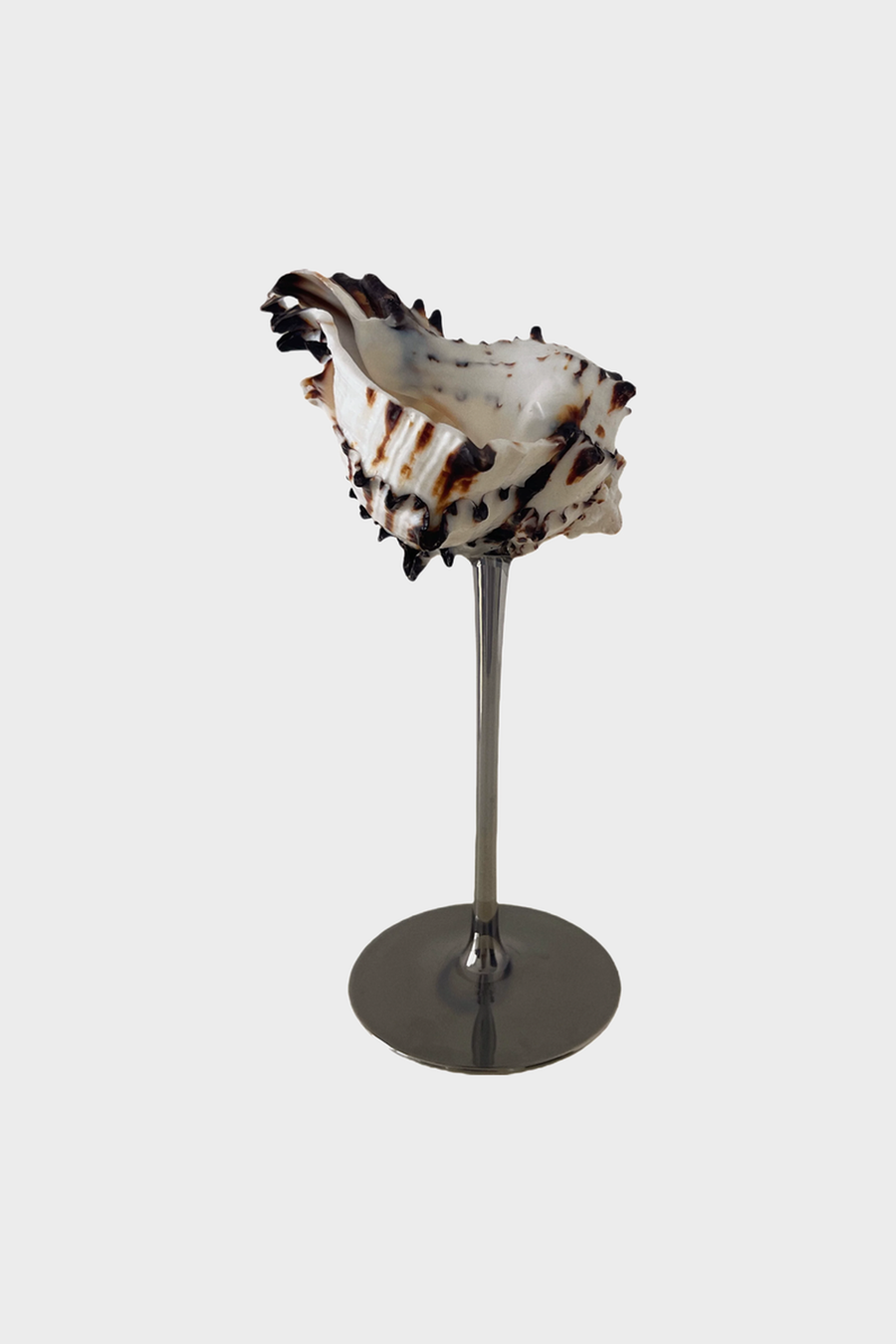 Snail Shell Cocktail Glass – Silver Stem