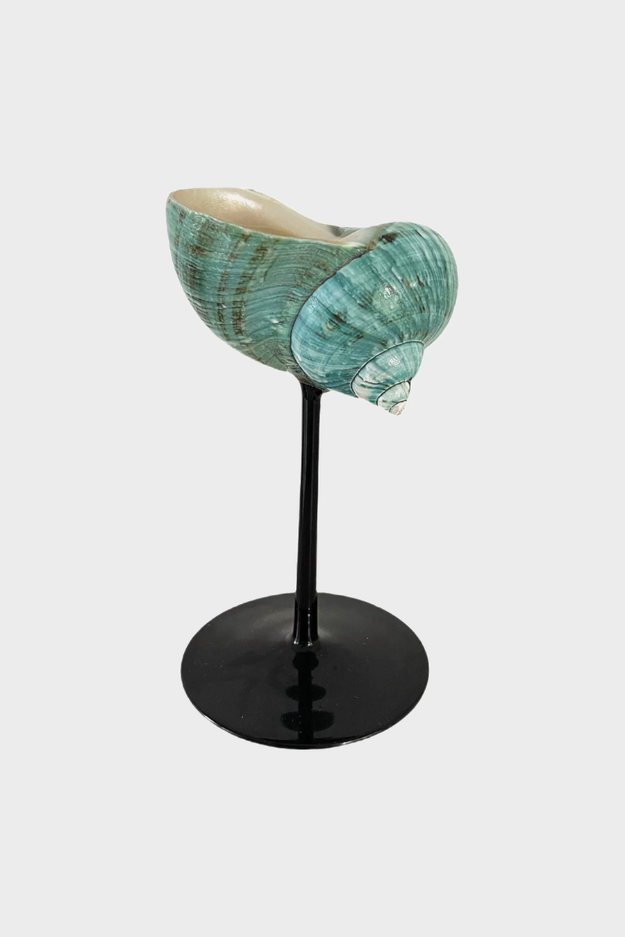 Green Snail Shell Cocktail Glass – Black Stem