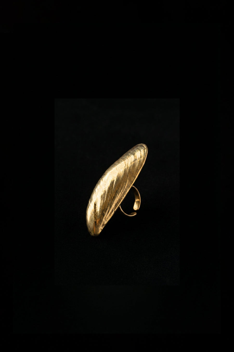 Valentina Quintero – Embrace Ring - Gold