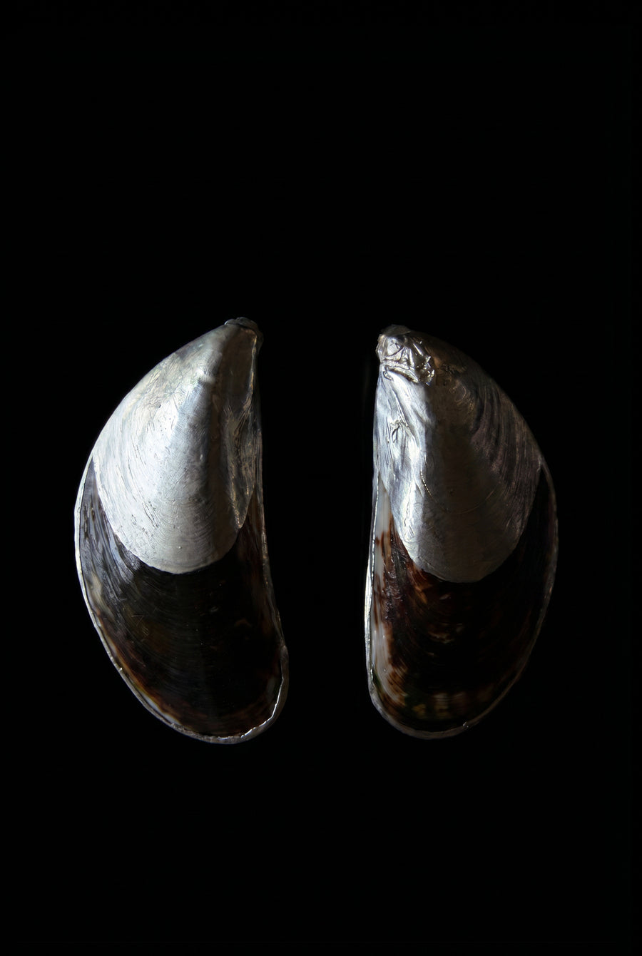 Valentina Quintero – Maxi Parcial Clip Earrings - Silver